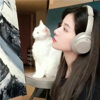 盲心攻略